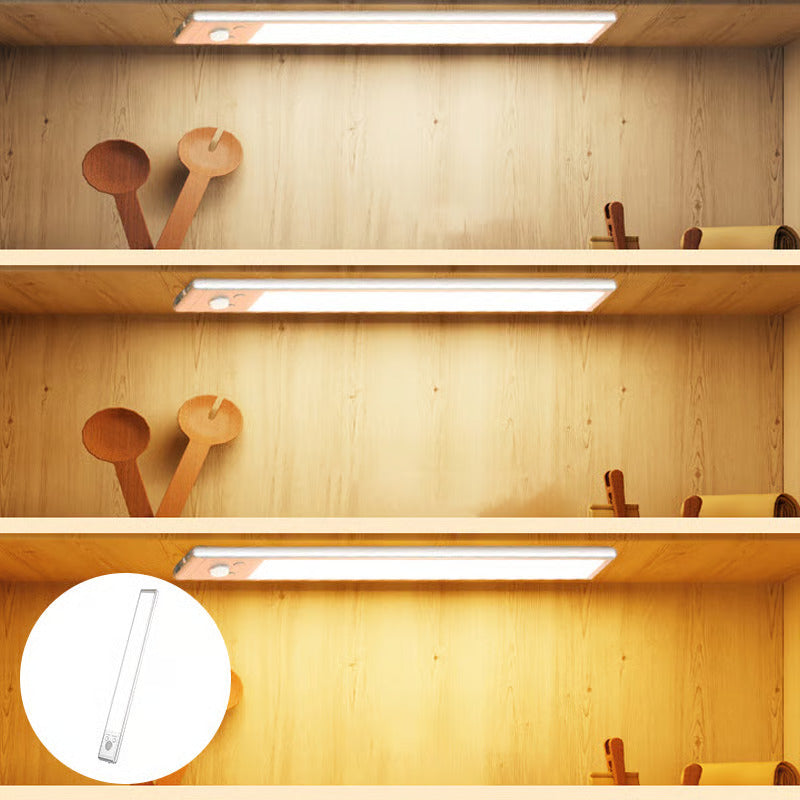 Intelligent induction magnetic LED light