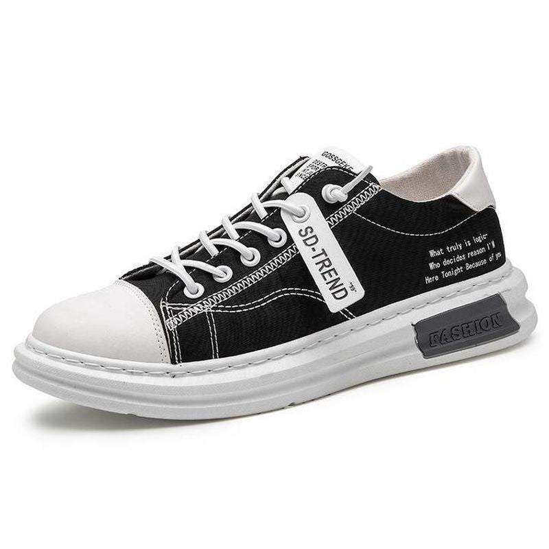 Mens Canvas Casual Shoes