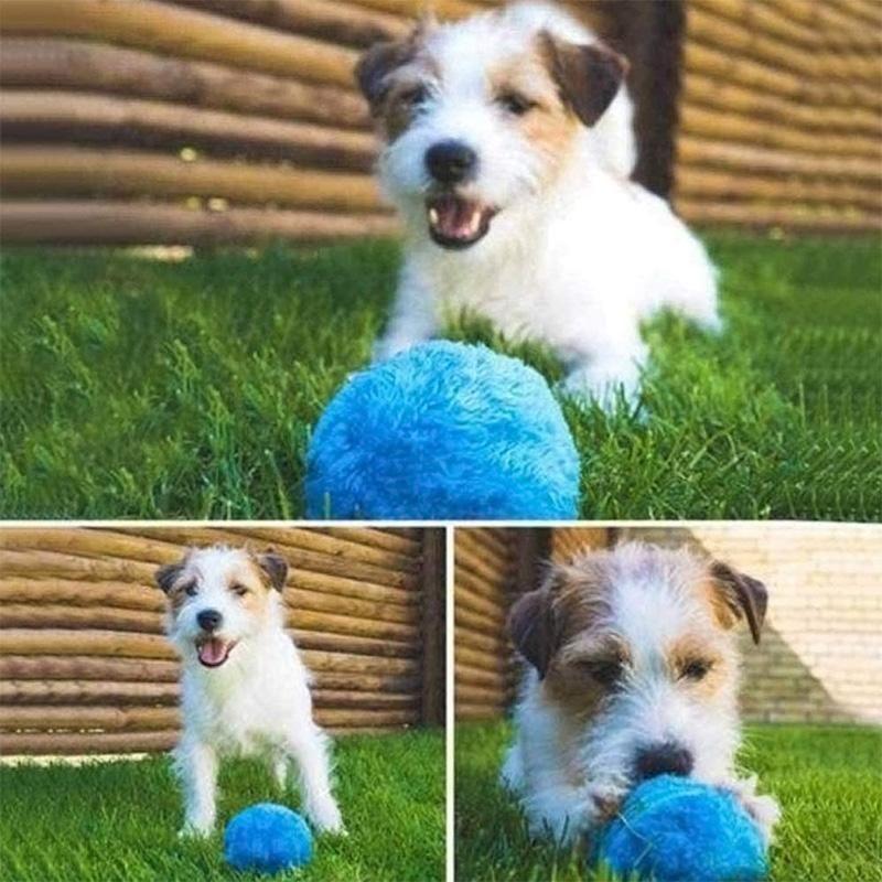 Pet Educational Toys Magic Ball