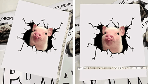 Cute & Funny  Animal Car Stickers