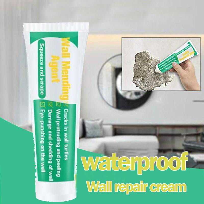 Repair paste to repair walls