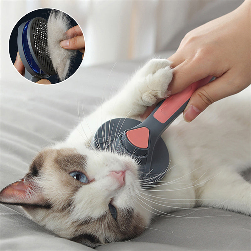 PET NEEDLE COMB