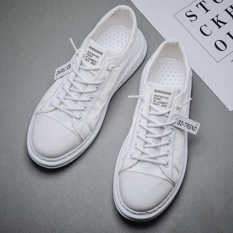 Mens Canvas Casual Shoes