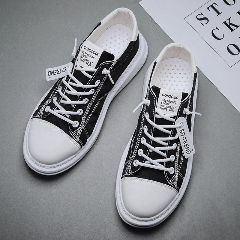 Mens Canvas Casual Shoes