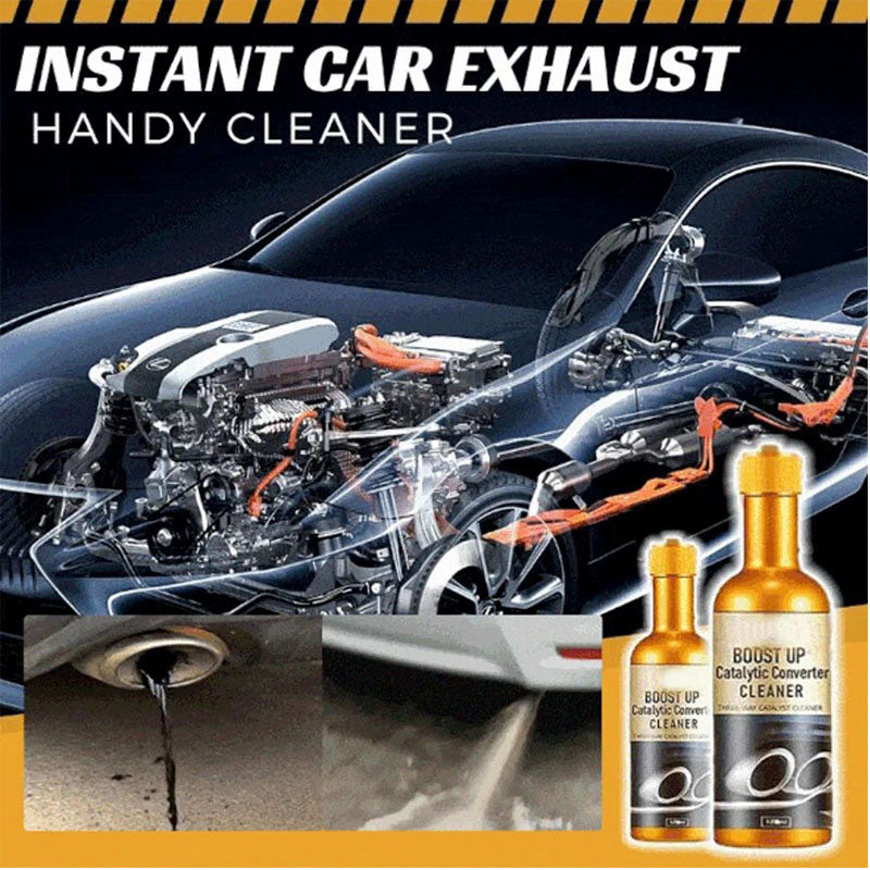 Catalytic converter cleaner