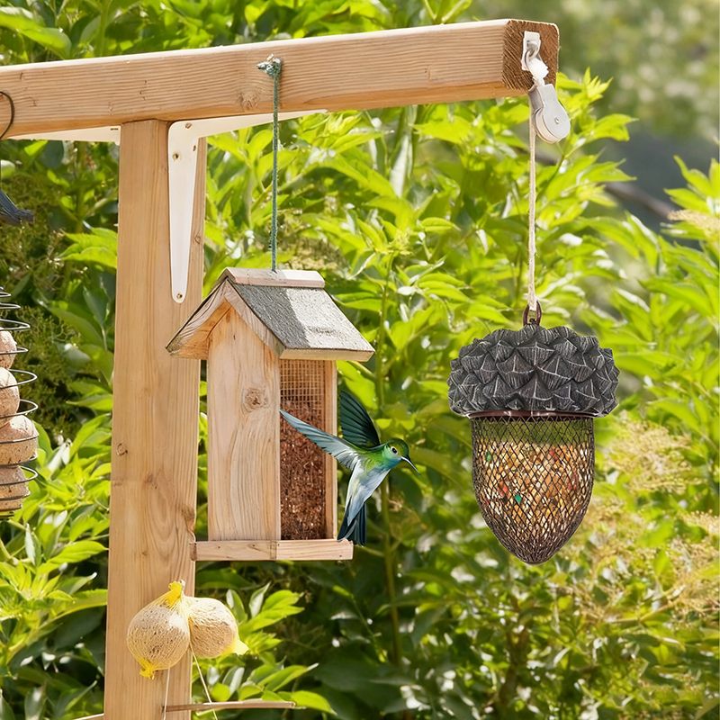 Hummingbird Acorn Wrought Iron Bird Feeder