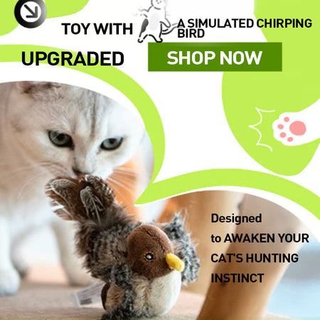 Simulation bird pet toy