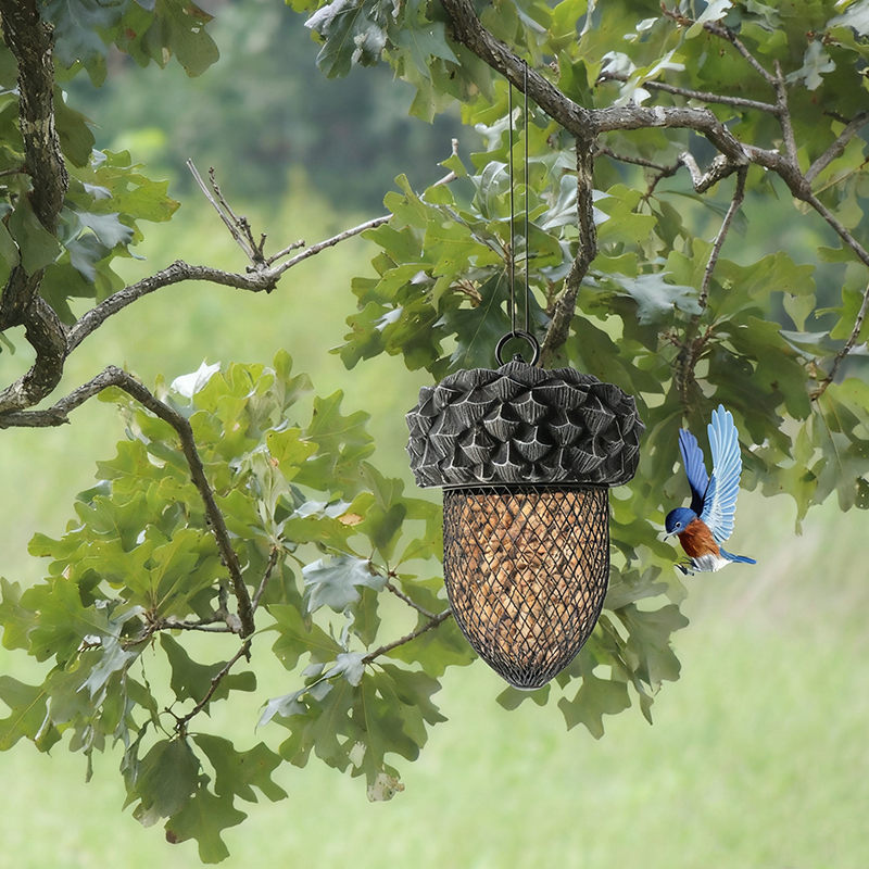Hummingbird Acorn Wrought Iron Bird Feeder