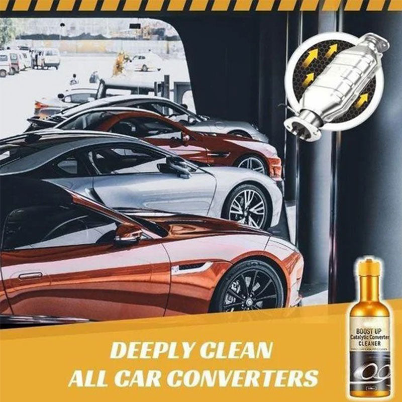 Catalytic converter cleaner