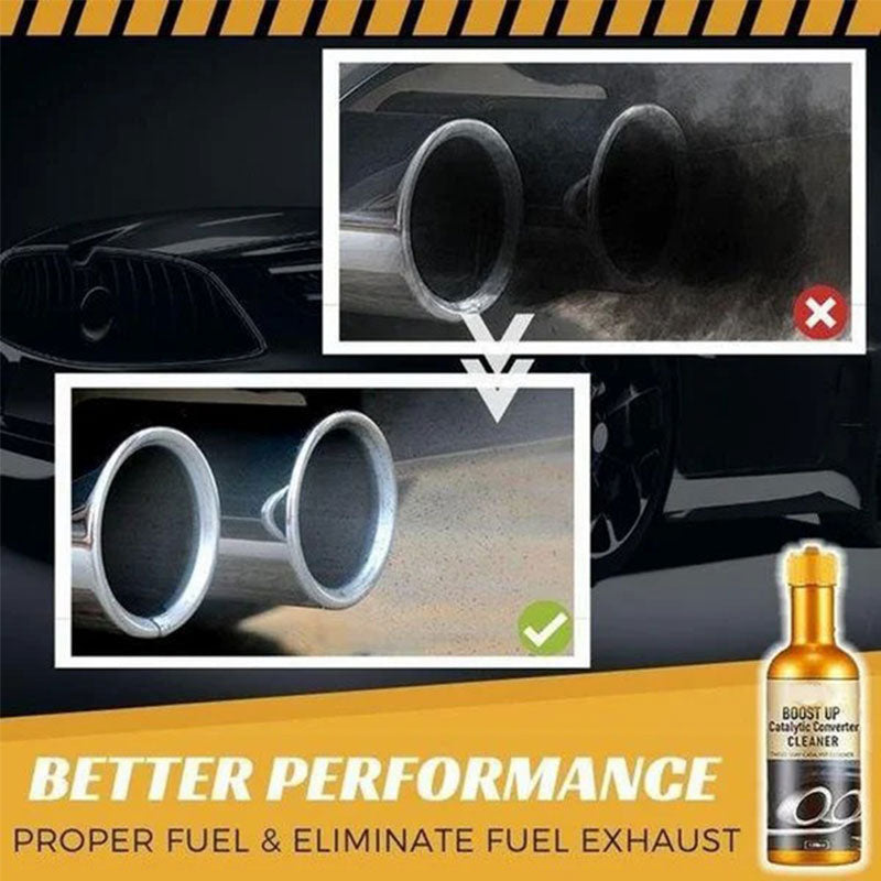 Catalytic converter cleaner