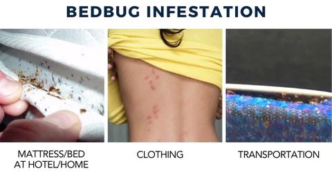 Portable Bedbugs Ultrasonic Repeller - buy one get one free