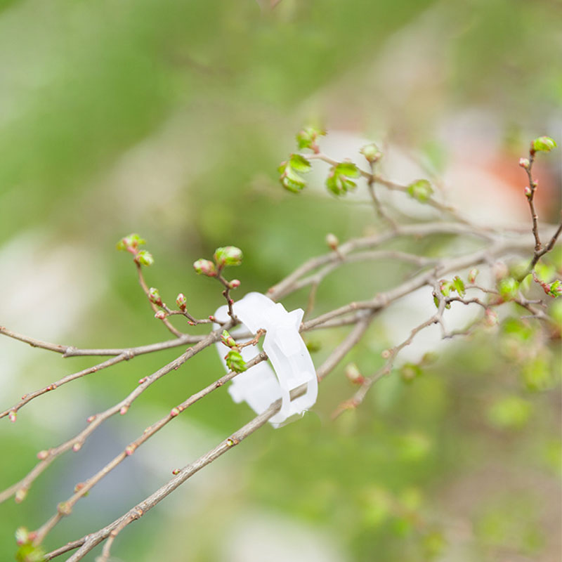 Plant Support Clips