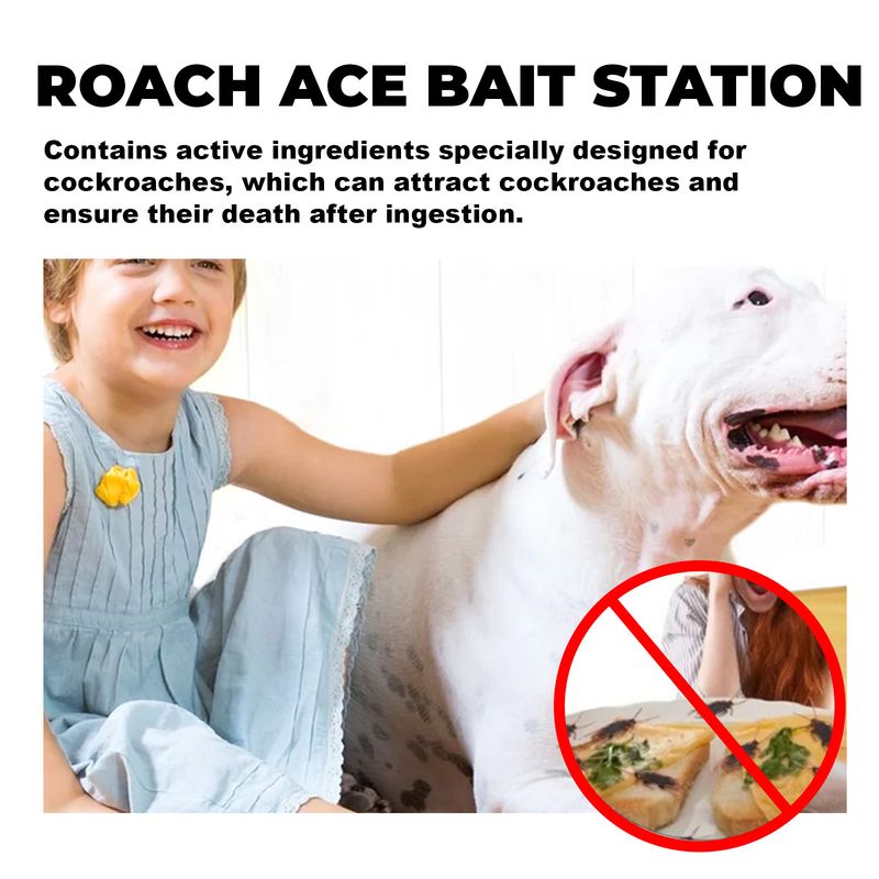 Cockroach Bait Station