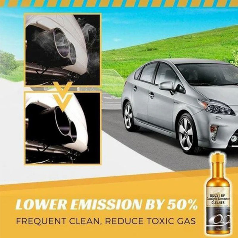 Catalytic converter cleaner