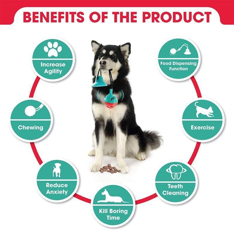 Chew toys for dogs