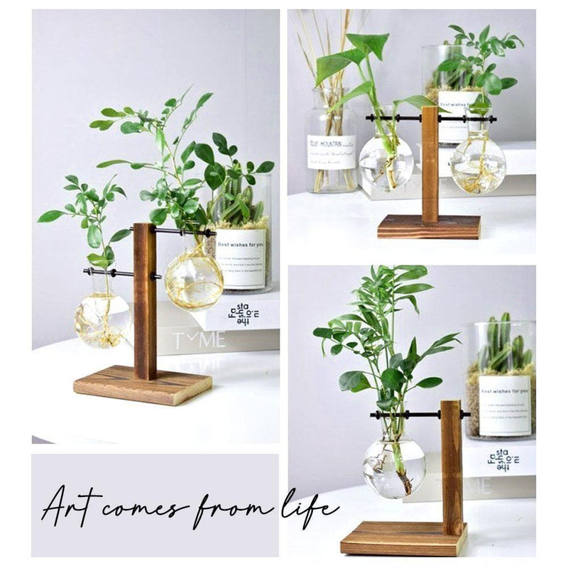 Hydroponic Vintage Vase