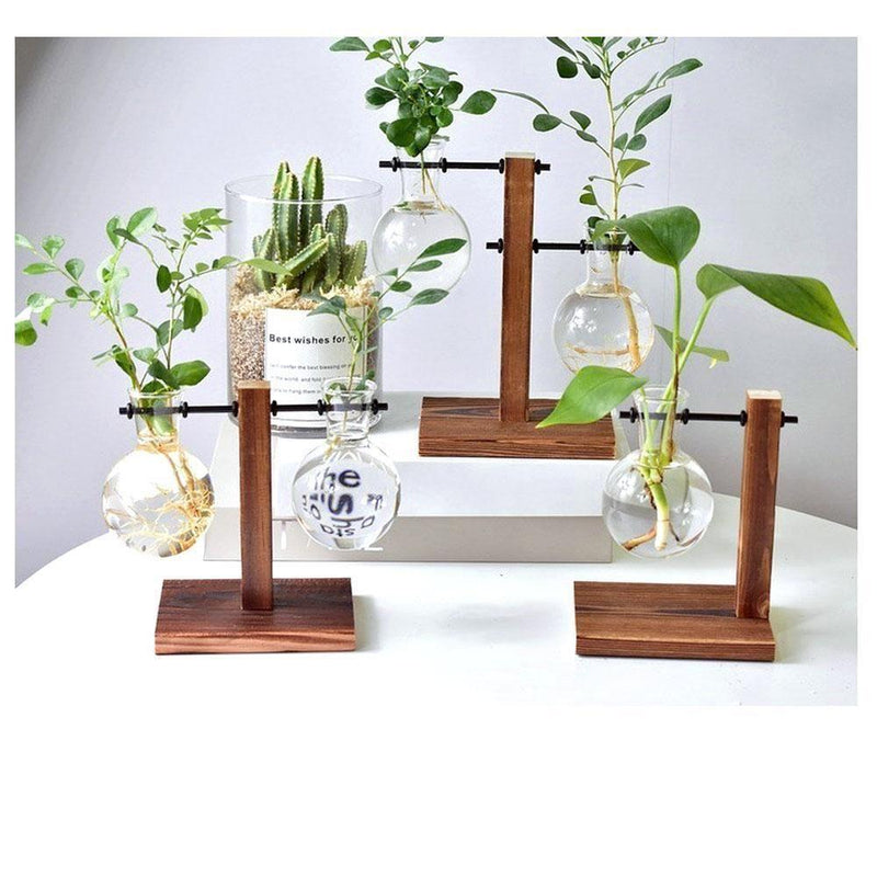 Hydroponic Vintage Vase