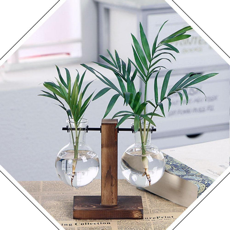 Hydroponic Vintage Vase