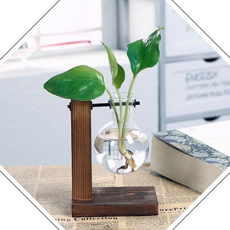 Hydroponic Vintage Vase