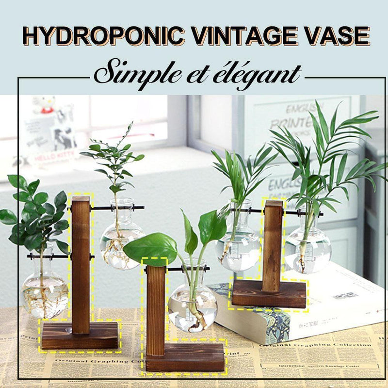 Hydroponic Vintage Vase