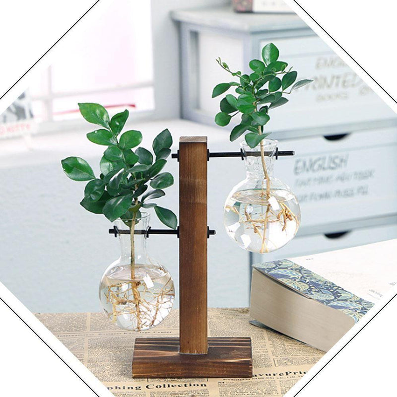 Hydroponic Vintage Vase