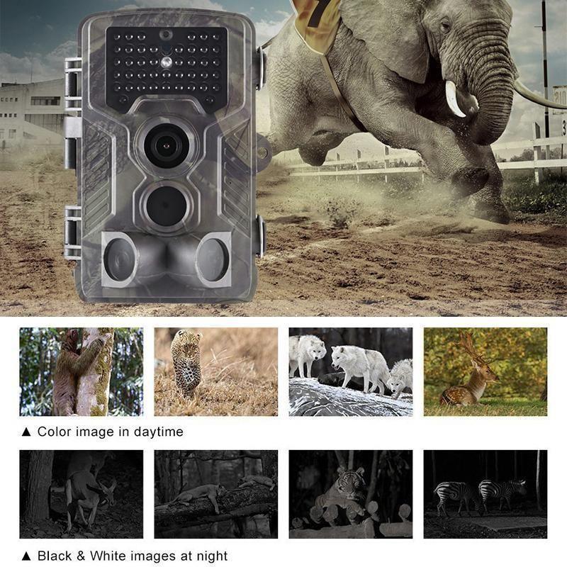 Video Game Trail Camera