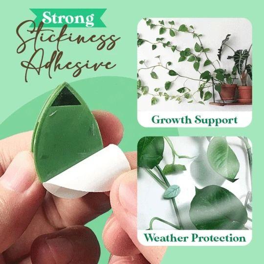 Plant Climbing Wall Fixture Clips Leaves