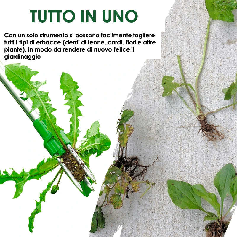Manual Herbicide