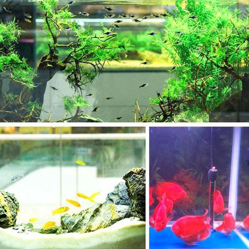 Eco-Aquarium Water Purification Cube