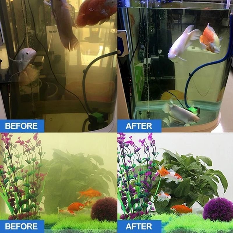 Eco-Aquarium Water Purification Cube