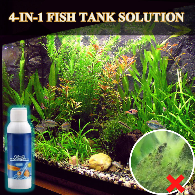 4-in-1 Fish Tank Solution