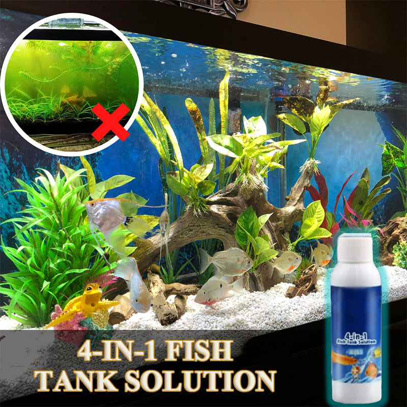 4-in-1 Fish Tank Solution