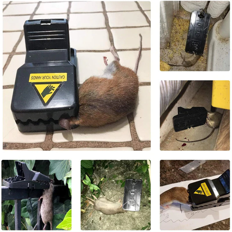 Highly Sensitive Reusable Mouse Trap