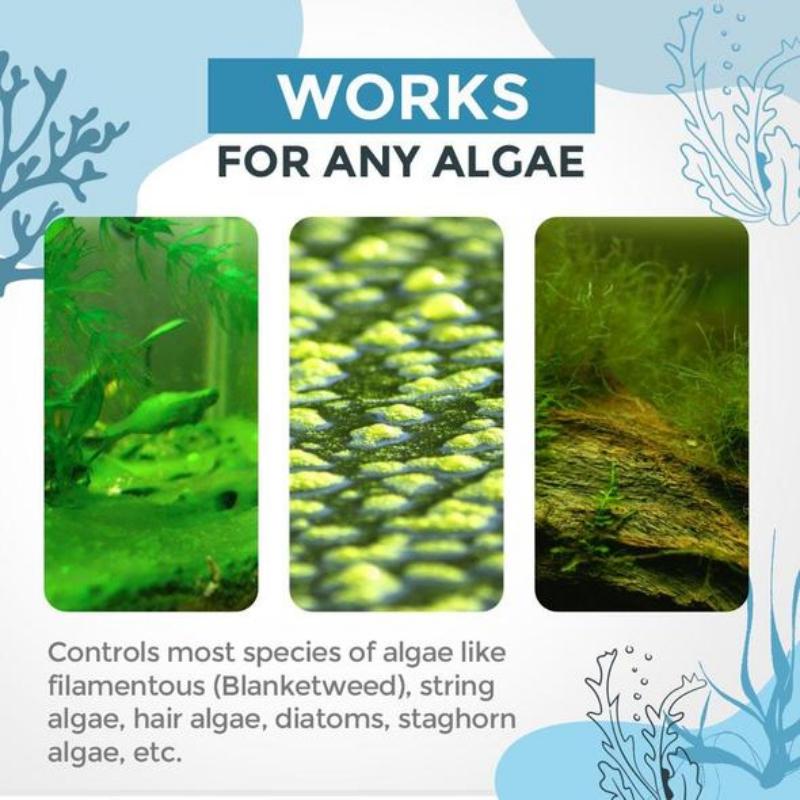 Algae Repellent Agent