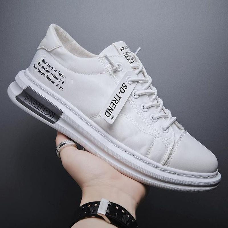 Mens Canvas Casual Shoes
