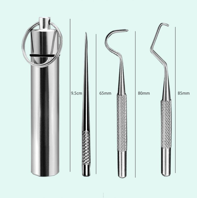 Stainless Steel Teeth Cleaning Tools